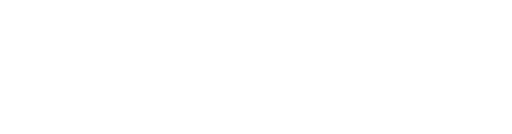 Vayga Logo
